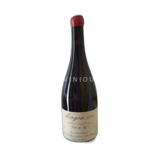 Beaujolais Morgon Jean Foillard Côte de Py 2021