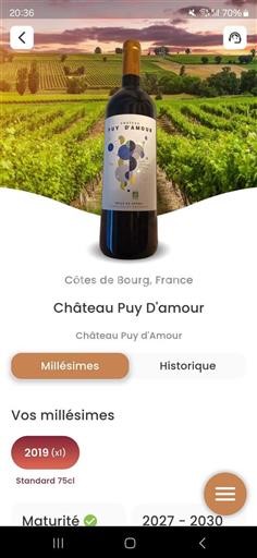 Bordeaux Côtes-de-bourg Château Puy D'Amour 2019