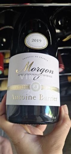 Beaujolais Morgon Antoine Barrier 2019