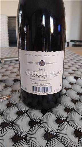 Valle della Loira Châteaumeillant Châteaumeillant  2012