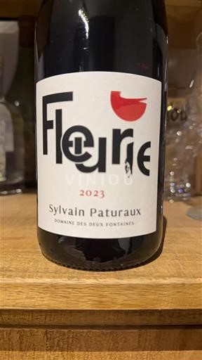 Beaujolais Fleurie Domaine des Deux Fontaines 2023
