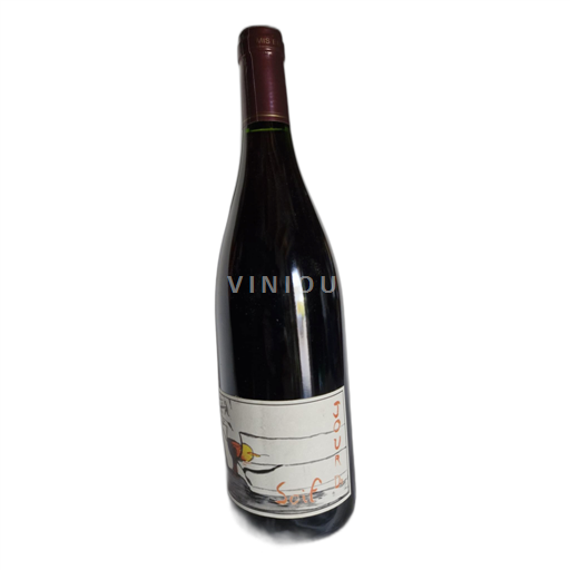 Valle del Loira Bourgueil Gauthier Pierre  2013