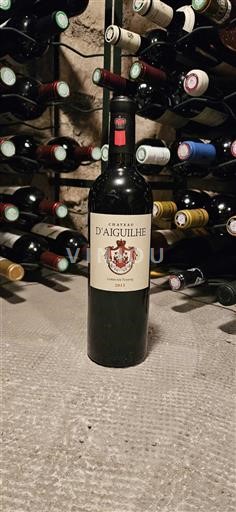 Bordeaux Castillon-côtes-de-bordeaux Chateau d'Aiguilhe 2015