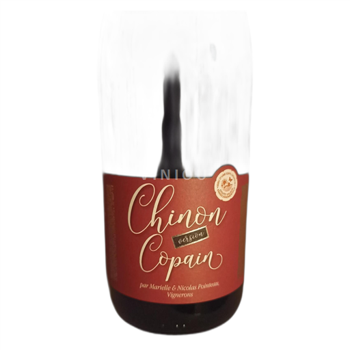 Loirevallei Chinon Copain 2021