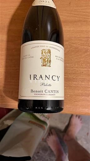 Bourgogne Irancy Benoît Cantin Palotte 2021