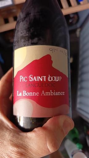 Languedoc Pic-saint-loup La Bonne Ambiance Sin añada