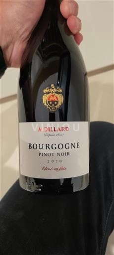 Bourgondië Bourgogne Moillard Élevé en fûts 2020
