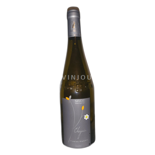 Loirevallei Chinon Pascal Paget Niet-geïntegreerd