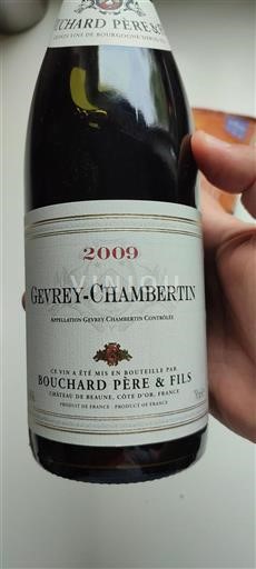 Borgogna Gevrey-Chambertin Bouchard Père & Fils 2009