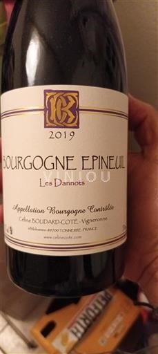 Burgundsko Bourgogne Epineuil Céline Boudard-coté Les Dannots 2019