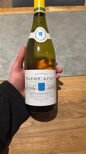 Burgundy Mâcon and Mâcon-Villages Cave de Lugny Les Charmes 2022