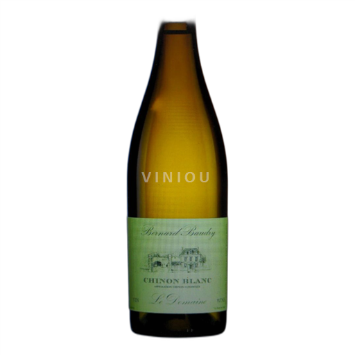 Loire Valley Chinon Bernard Baudry Le Domaine 2021