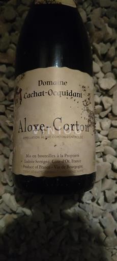 Bourgogne Aloxe-Corton Domaine Cachat-Ocquidant 2021
