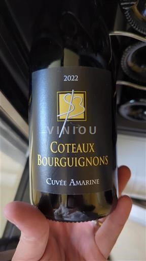 Bourgondië Bourgondische heuvels Amarine 2022