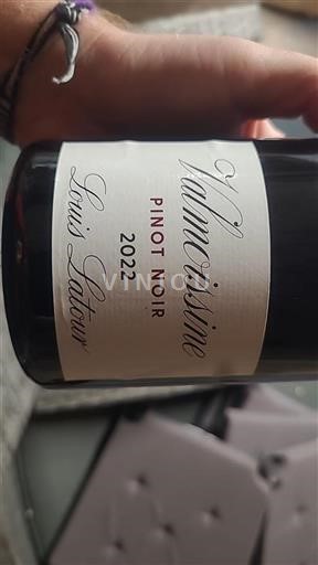Elzas Pinot noir Louis Latour Valmoissine 2022