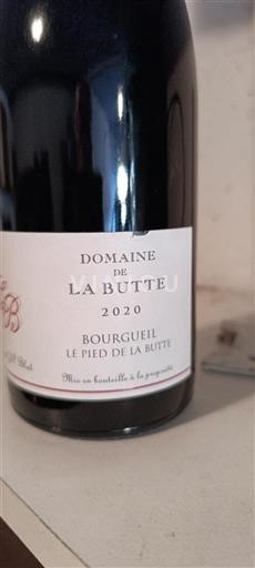 Valle della Loira Bourgueil Domaine de la Butte Le Pied de la Butte 2020