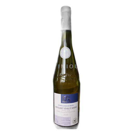 Valle della Loira Muscadet Sèvre et Maine Domaine Bureau Ludovic La Roche Bleue 2023