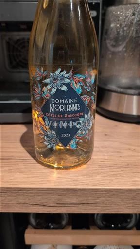 Jihozápad Côtes de Gascogne Domaine Morlanne Gros Manseng 2023