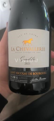 Loirevallei Saint-Nicolas-De-Bourgueil La Chevallerie Gueulebée 2021