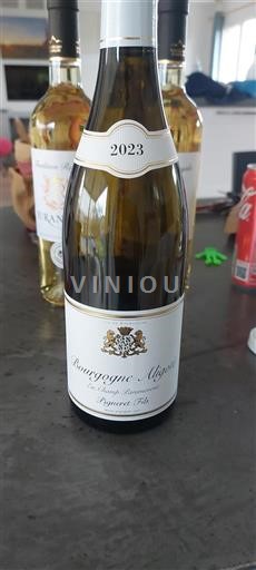 Bourgogne Bourgogne-aligoté Pigneret Fils En Champ Paramoront 2023