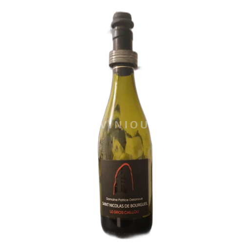 Loirevallei Domaine patrice Delanoue 2023 2023