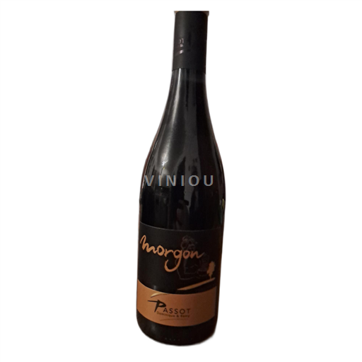 Beaujolais Morgon PASSOT Rémy & Fils 2023