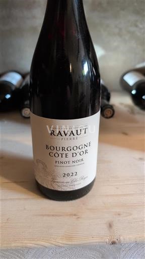 Bourgondië Bourgogne Côte d'Or Ravaut Pierre Pinot Noir 2022