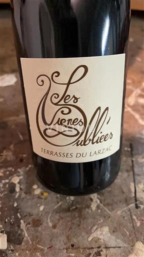 Languedoc Terrasses du Larzac Les vignes oubliees 2019