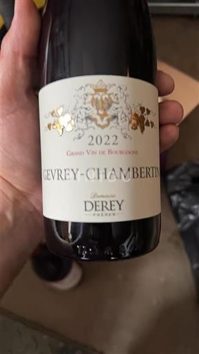 Bourgogne Gevrey-chambertin Domaine Derey Frères 2022