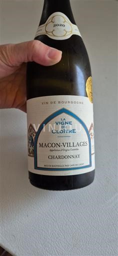 Vin Blanc sec La Vigne du Cloître Cave de Lugny 2020 France Bourgogne Mâcon et mâcon-villages