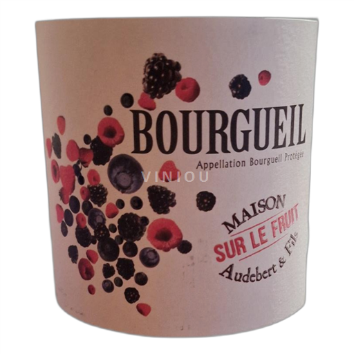 Vin Rouge sec Sur le Fruit Maison Audebert & Fils 2022 France Bourgogne