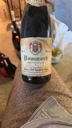 Burgundy Pommard Domaine Pinte Georges et Thierry 2014