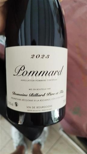 Bourgogne Pommard Domaine Billard Père et Fils 2023