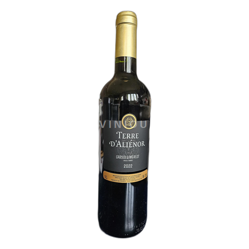 Bordeaux Vignoble dubard Terre d'alienor 2022