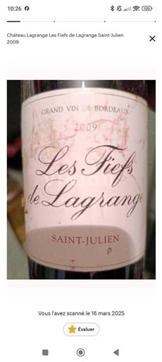 Bordeaux Saint-Julien Château Lagrange Les Fiefs de Lagrange 2009