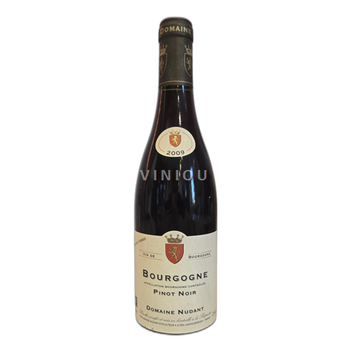 Bourgogne Domaine Nudant 2009