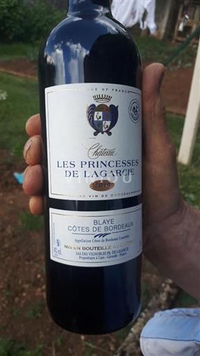 Bordeaux Blaye-côtes-de-bordeaux Château Les Princesses de Lagarcie 2019