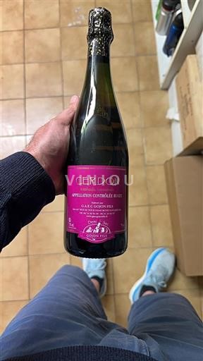 Savoie and Bugey Bugey Cerdon Non-Vintage