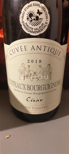 Borgogna Coteaux borgognoni Sorin-Coquard Antique 2018