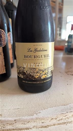Valle della Loira Bourgueil Les Gadelières 2023