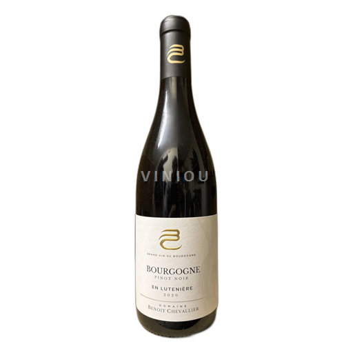 Bourgondië Bourgogne Domaine Benoit Chevallier En Lutenière 2020